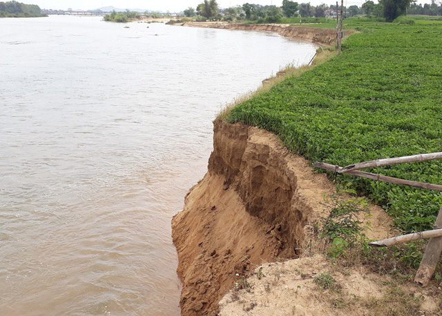 Bình Định:  Hai bờ “lở loét”, sông Kôn nổi giận, người dân kinh hãi!