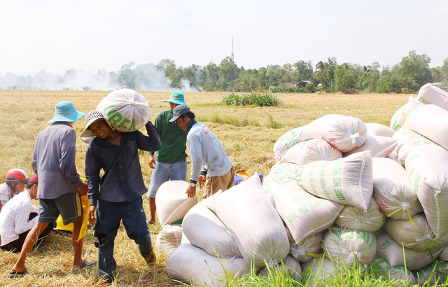 Để ĐBSCL thích ứng biến đổi khí hậu