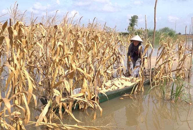 ÐBSCL, lo ngại nhất là vỡ đập dây chuyền