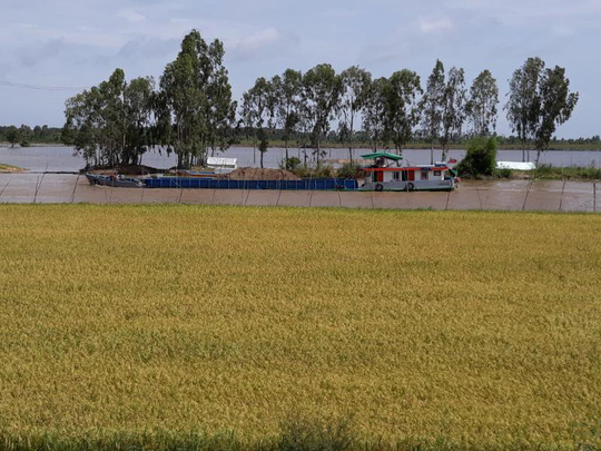 Lũ cuồn cuộn về, cơ hội cho ĐBSCL