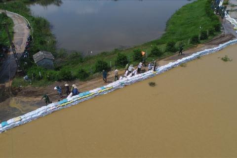 Hà Nội tính kè đê Bùi bằng bê tông: ‘Phải tính khéo’