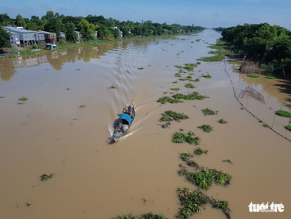 Mực nước các sông ĐBSCL lên chậm, đỉnh lũ có thể cuối tháng 9